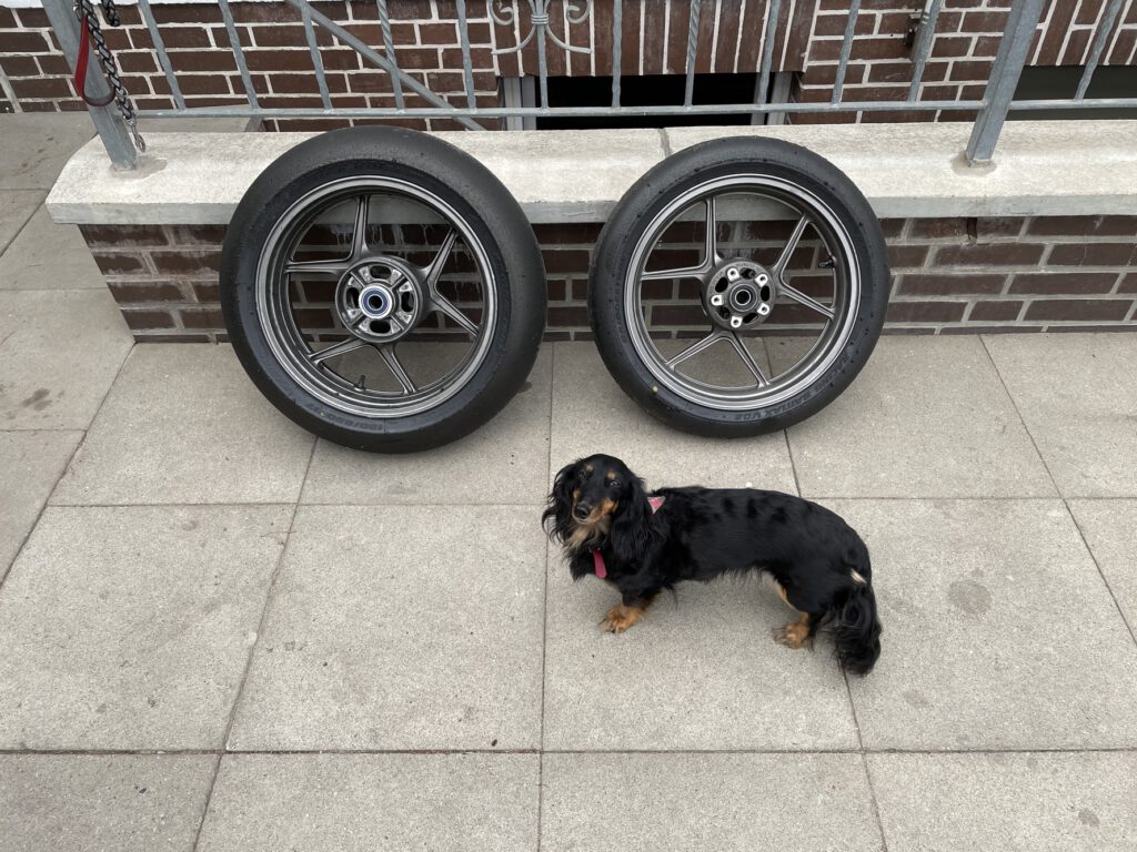 Motorrad selbst lackieren - eine Anleitung - Hier Felgen mit Dackel